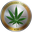 Logo de CannabisCoin (CANN)